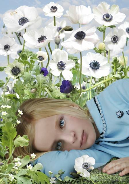 Ruud van Empel ルード・ヴァン・エンペル