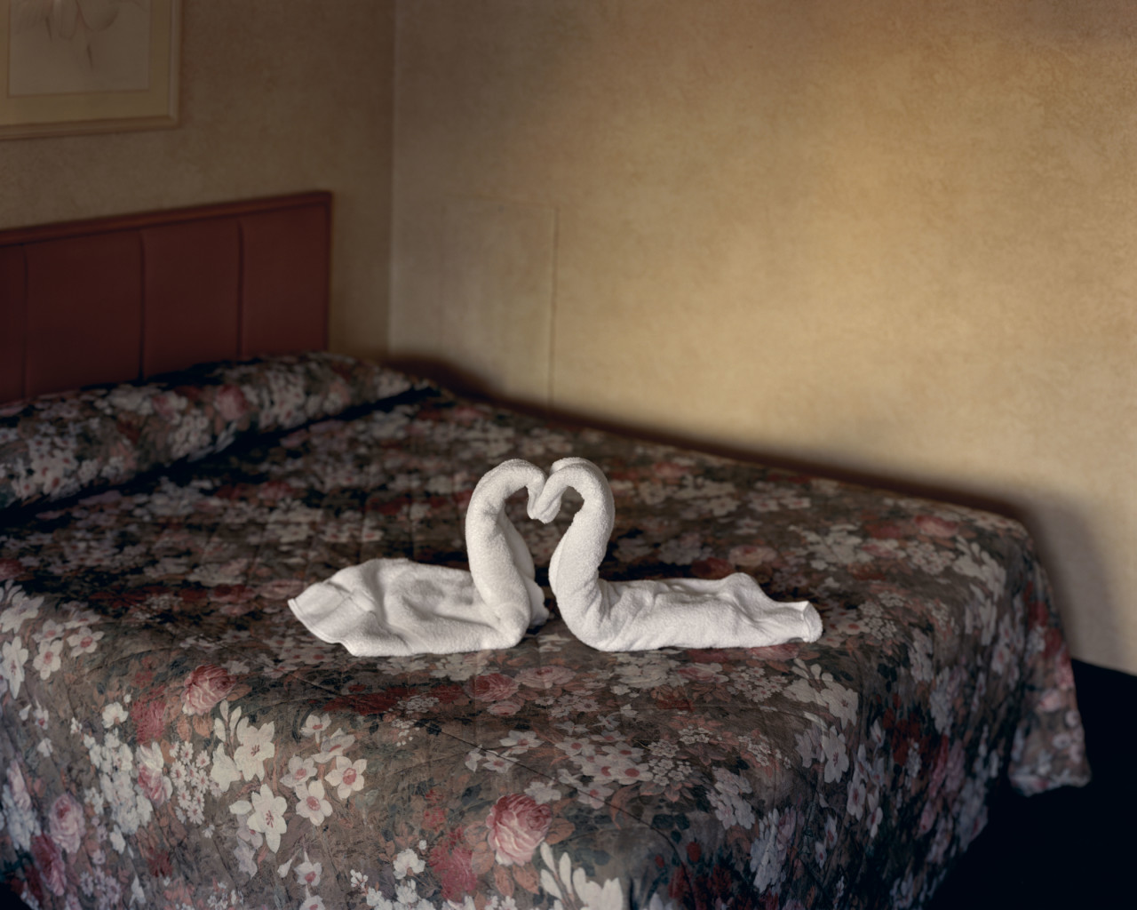 Alec Soth（アレック・ソス）