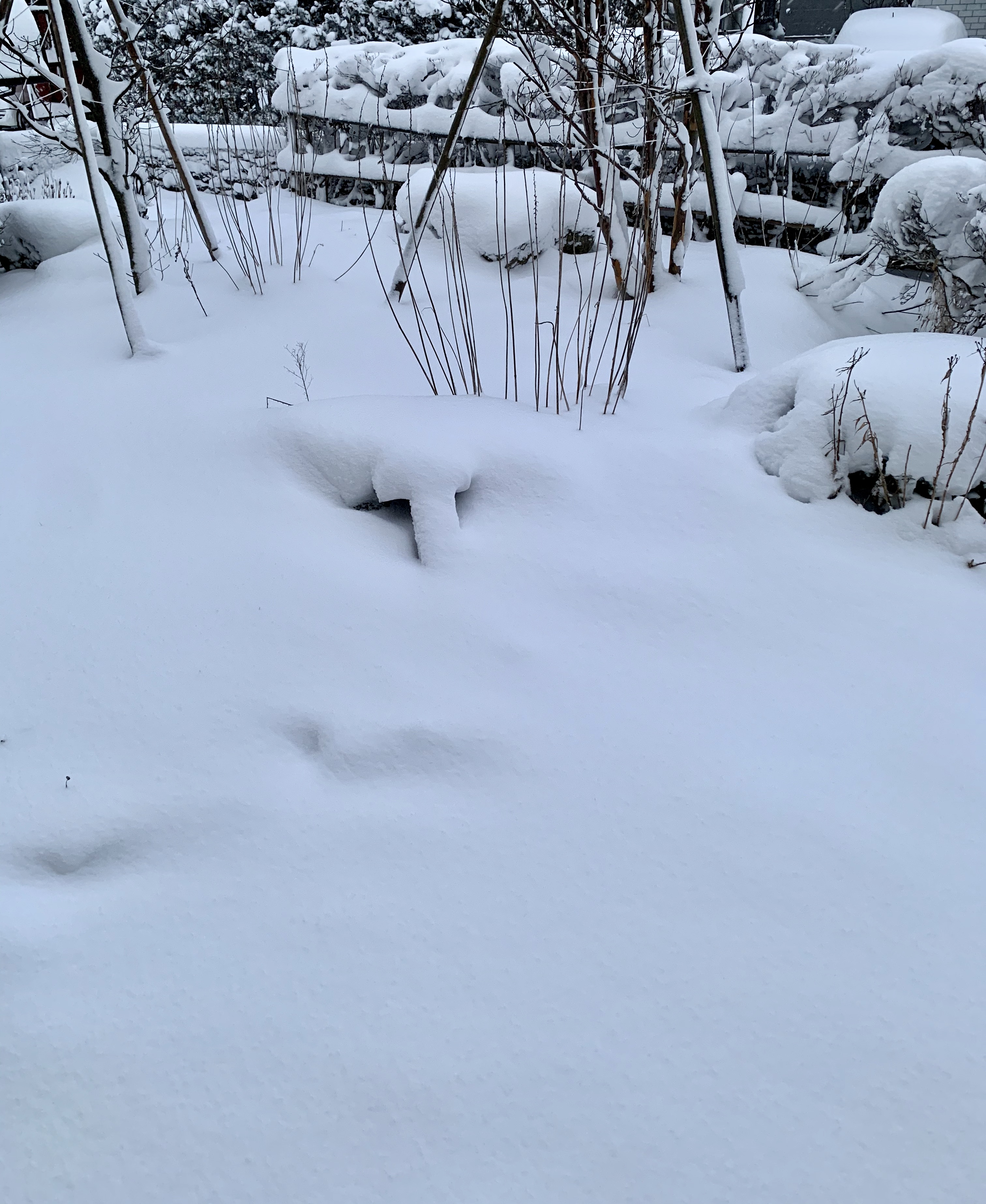 昨日から今朝の話