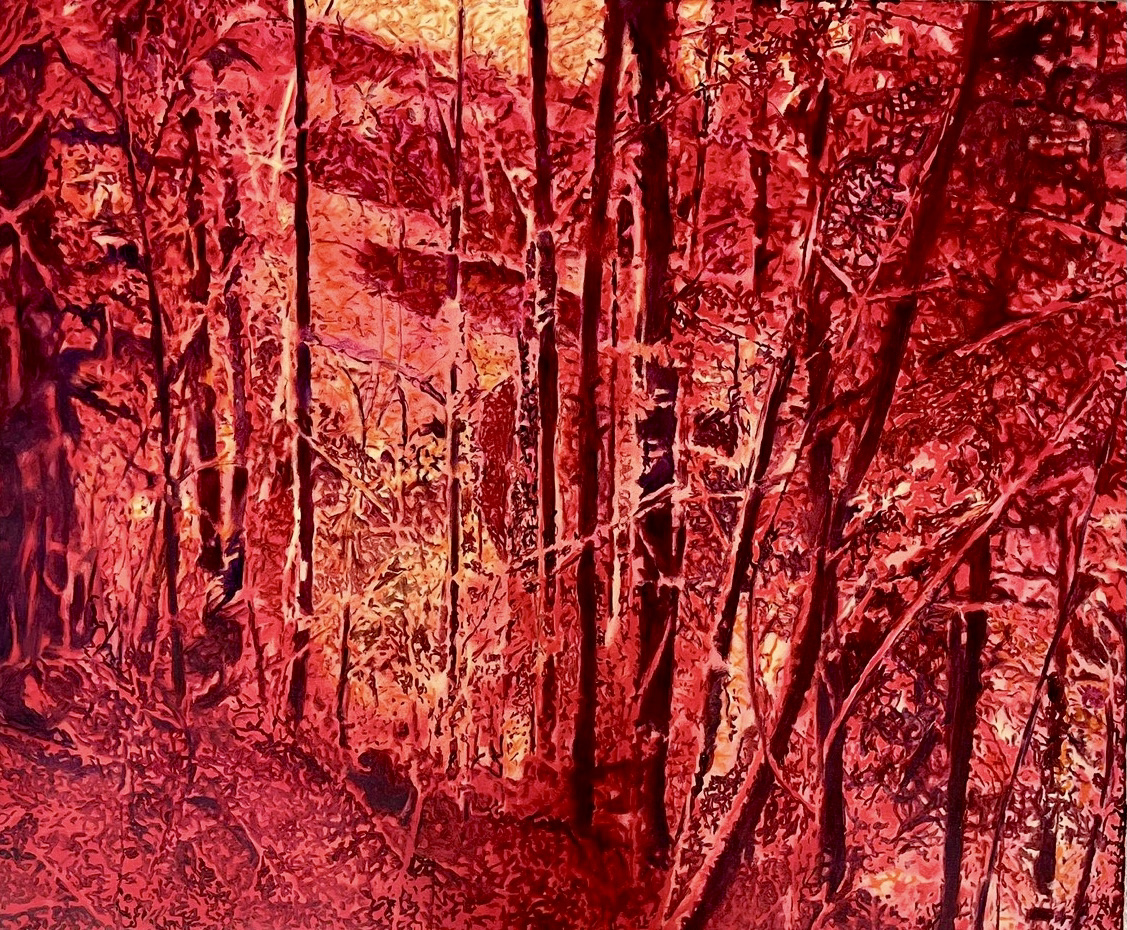 展示作品のご紹介。