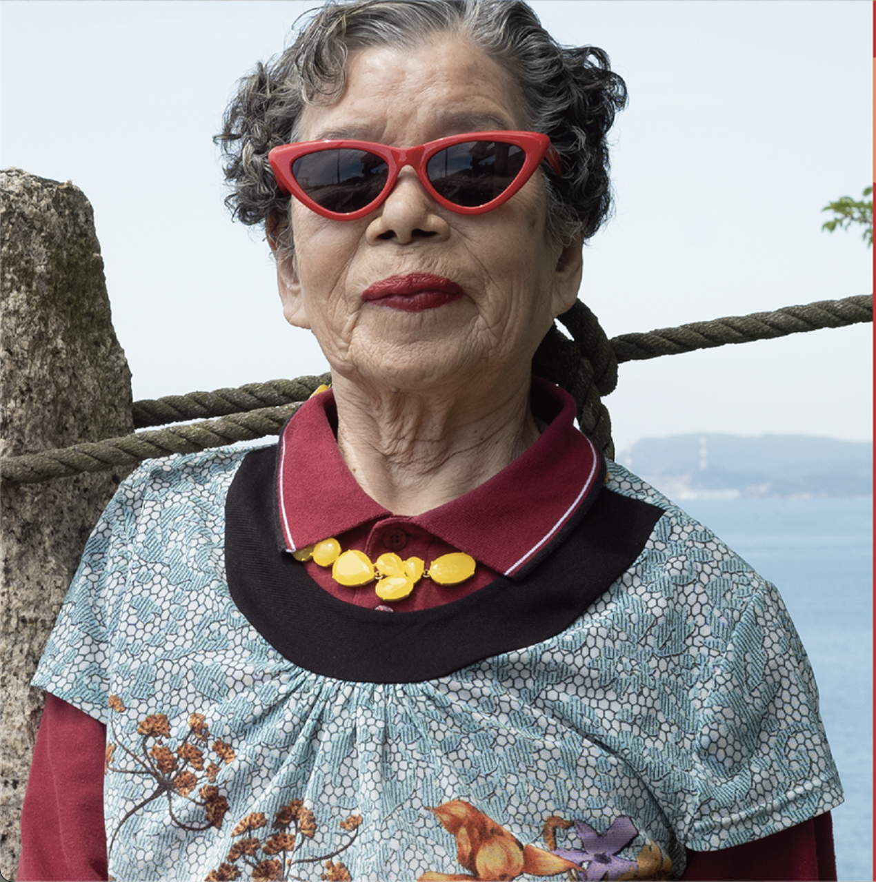 夏会期が始まっていますね。