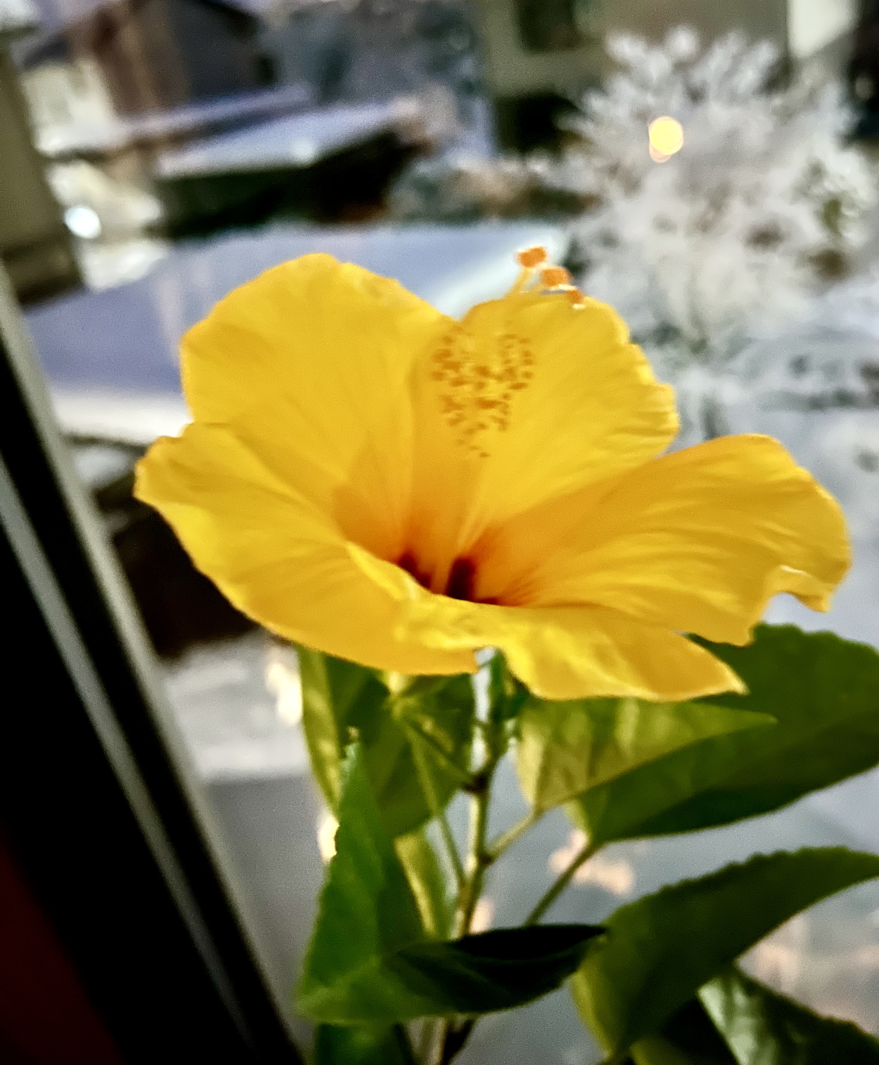 出会いって本当に大切ですね。
