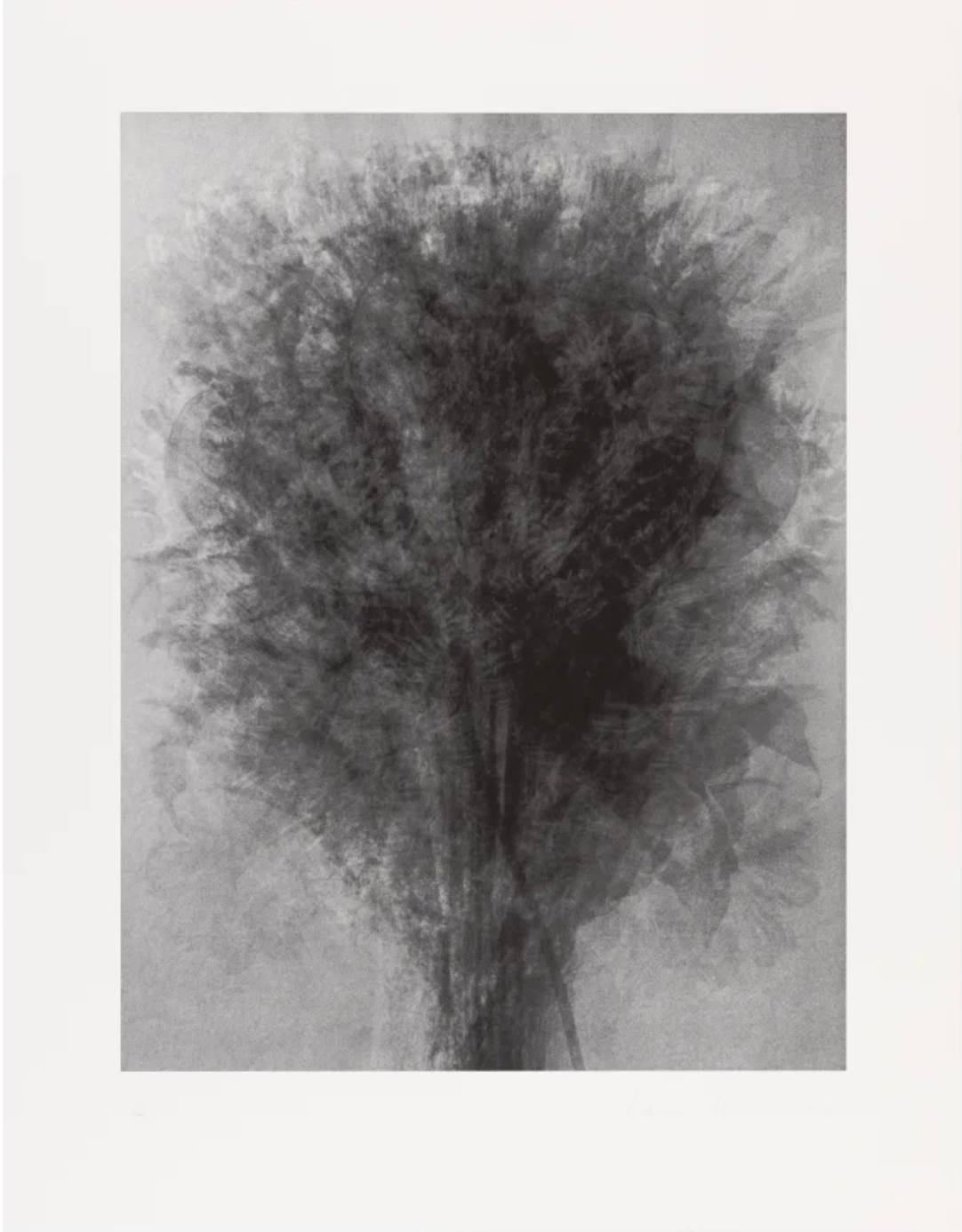 Idris Khan